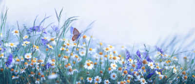 The Good News of God