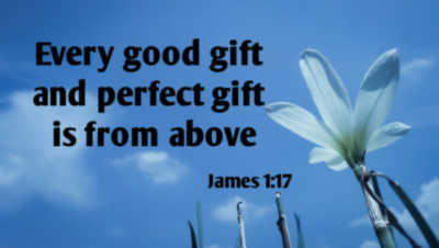 Learn More About GRACE: The Parent Survival Kit