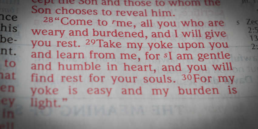 THE PROMISE God is a Constant Source of Renewal