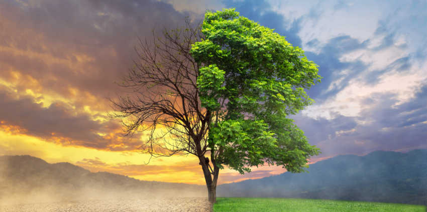 What is a Christian Family Bible App Minnesota MN