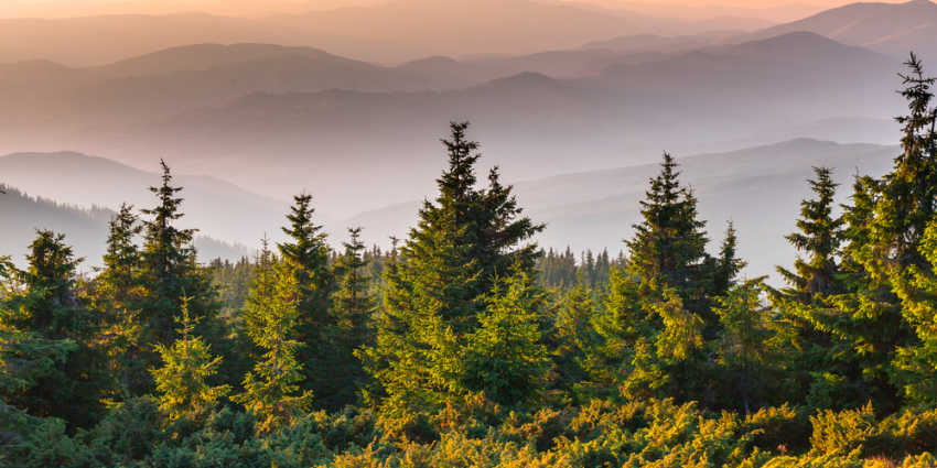 Wilderness Therapy for Troubled Teen Girls