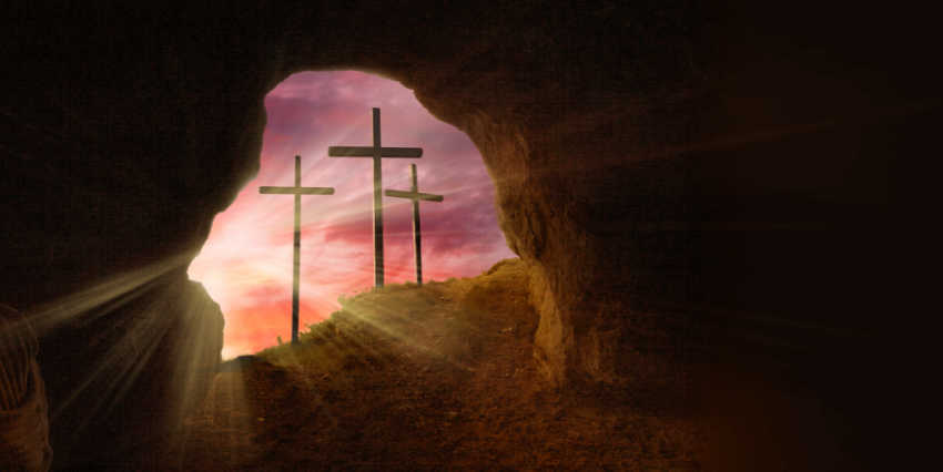 HUMAN RIGHTS vs KINGDOM Living