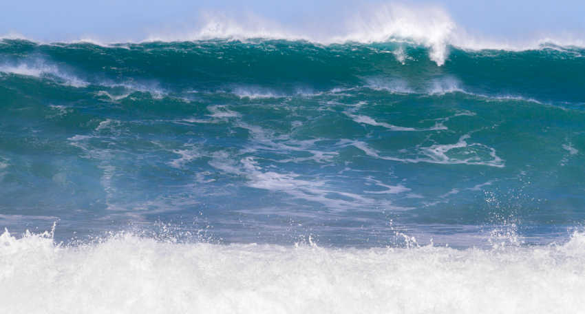 The RADICAL GENEROSITY Movement Initiative