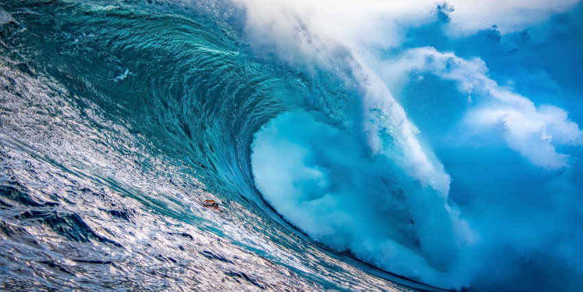 The KINGDOM Empowered SAVE Coin Project Initiative