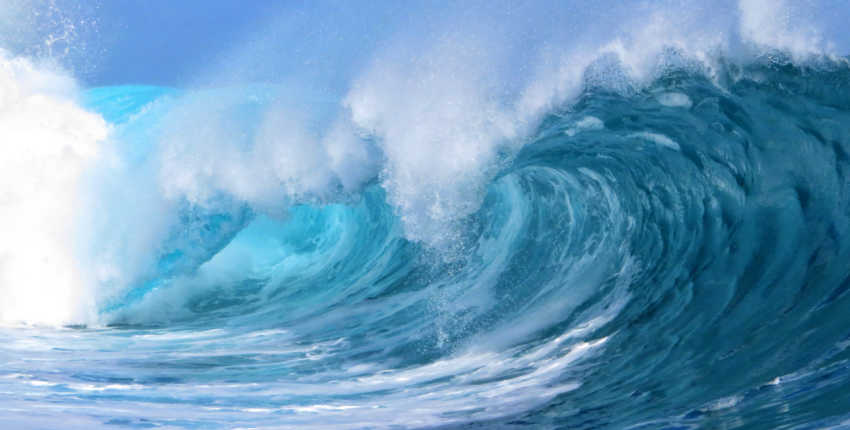 The KINGDOM Empowered Super Wallet Initiative