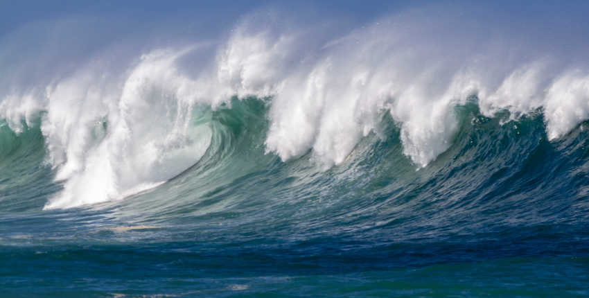 The KINGDOM Empowered DAO Project Initiative