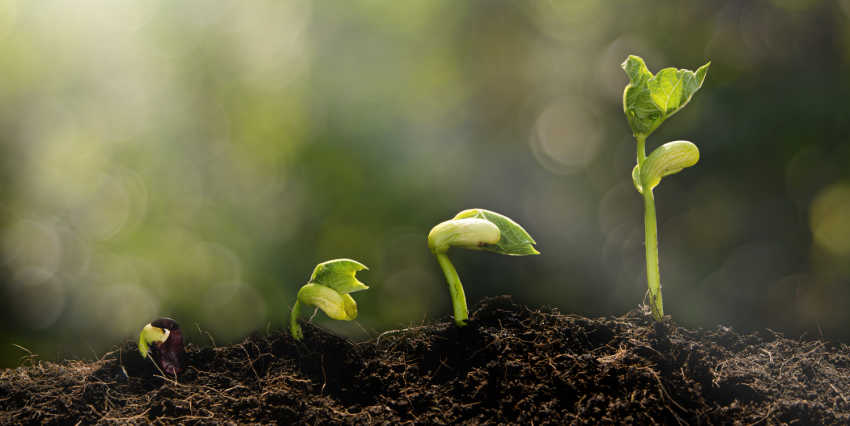 The KINGDOM Empowered Value Proposition