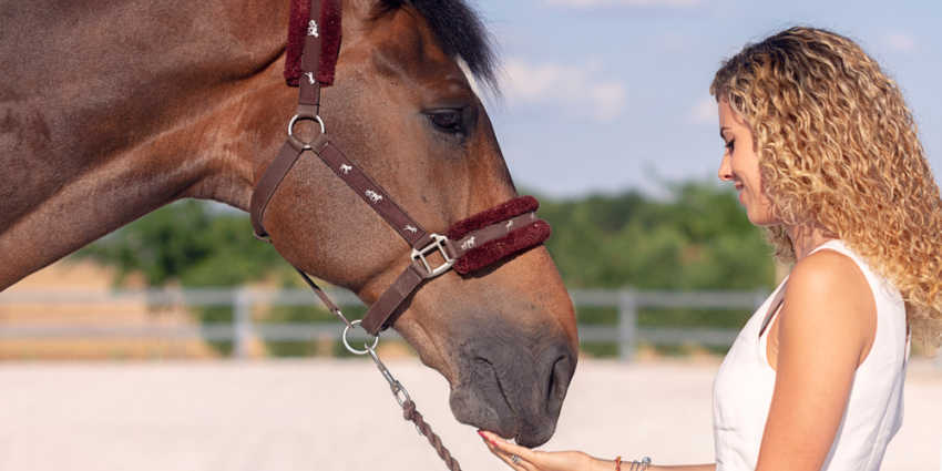 Equine Therapy For Troubled Teenage Girls
