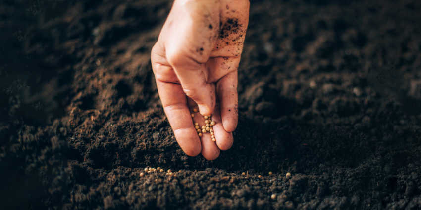 Scriptures Testifying to The Absolute Goodness of God